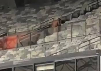 Casal flagrada fazendo sexo em estadio antes do jogo! | Não Conto