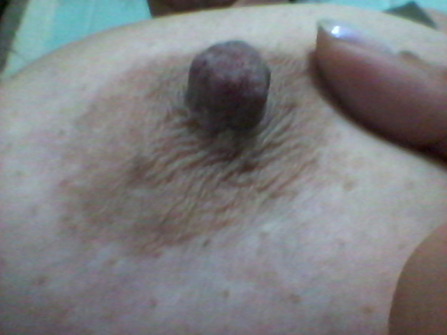 gordelicia-tem-celular-fotos-intimas-vazadas (17)